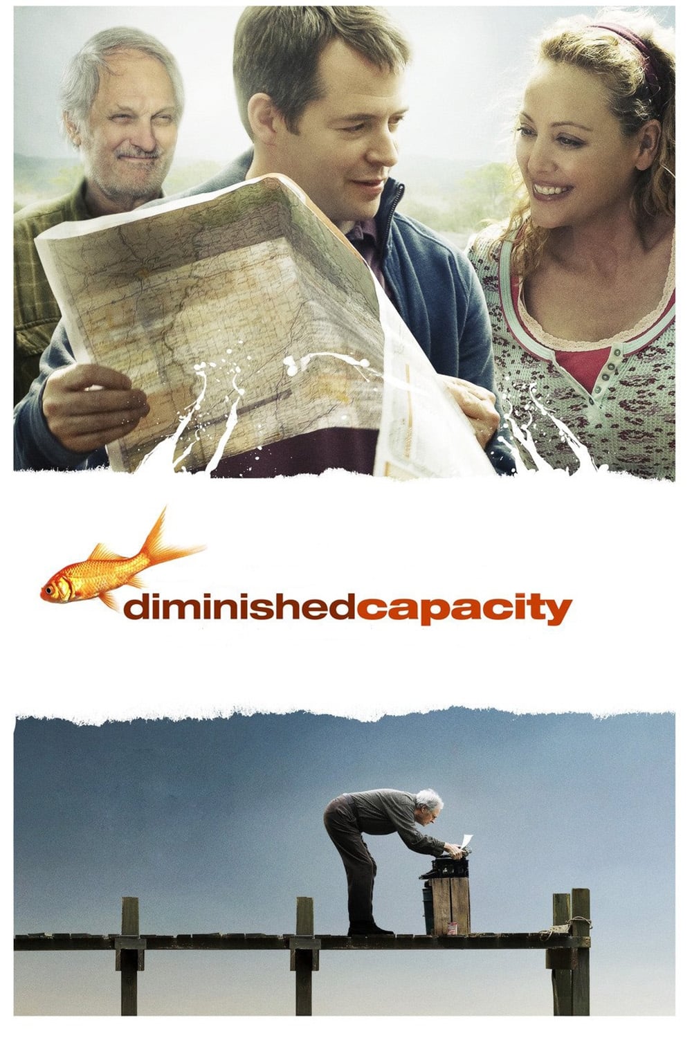 Постер Diminished Capacity